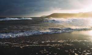 can baby eat flensutenol