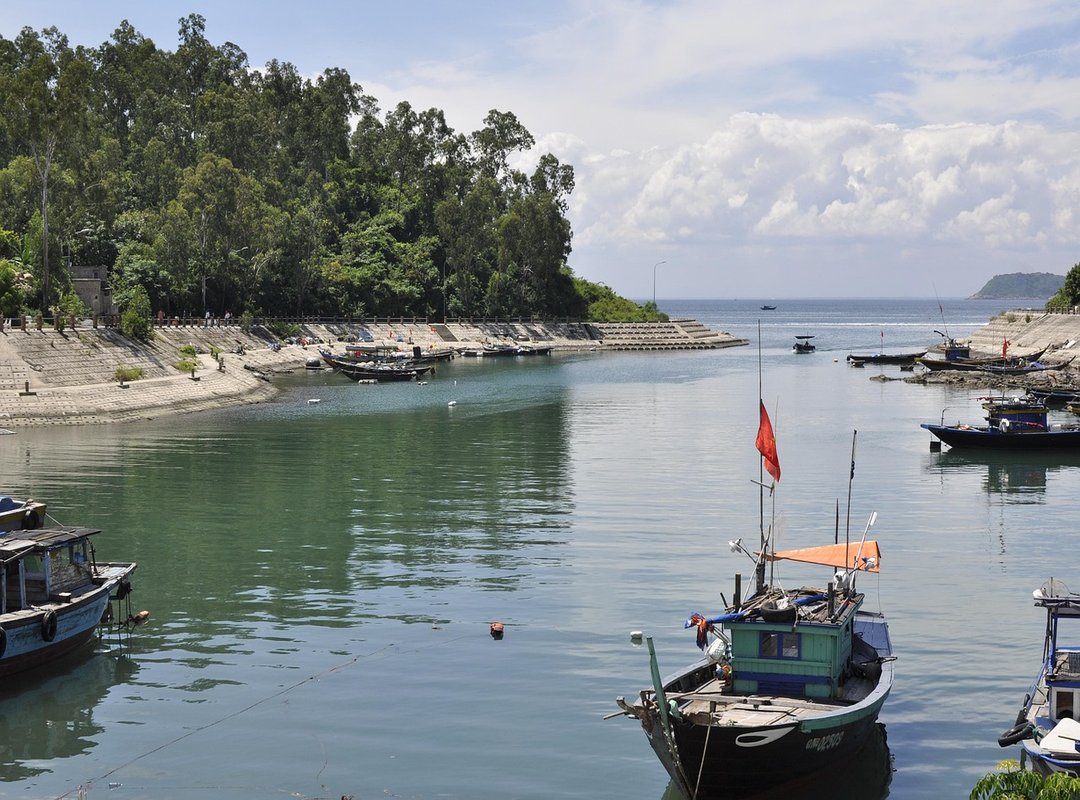 Which Milkweed for Hingagyi