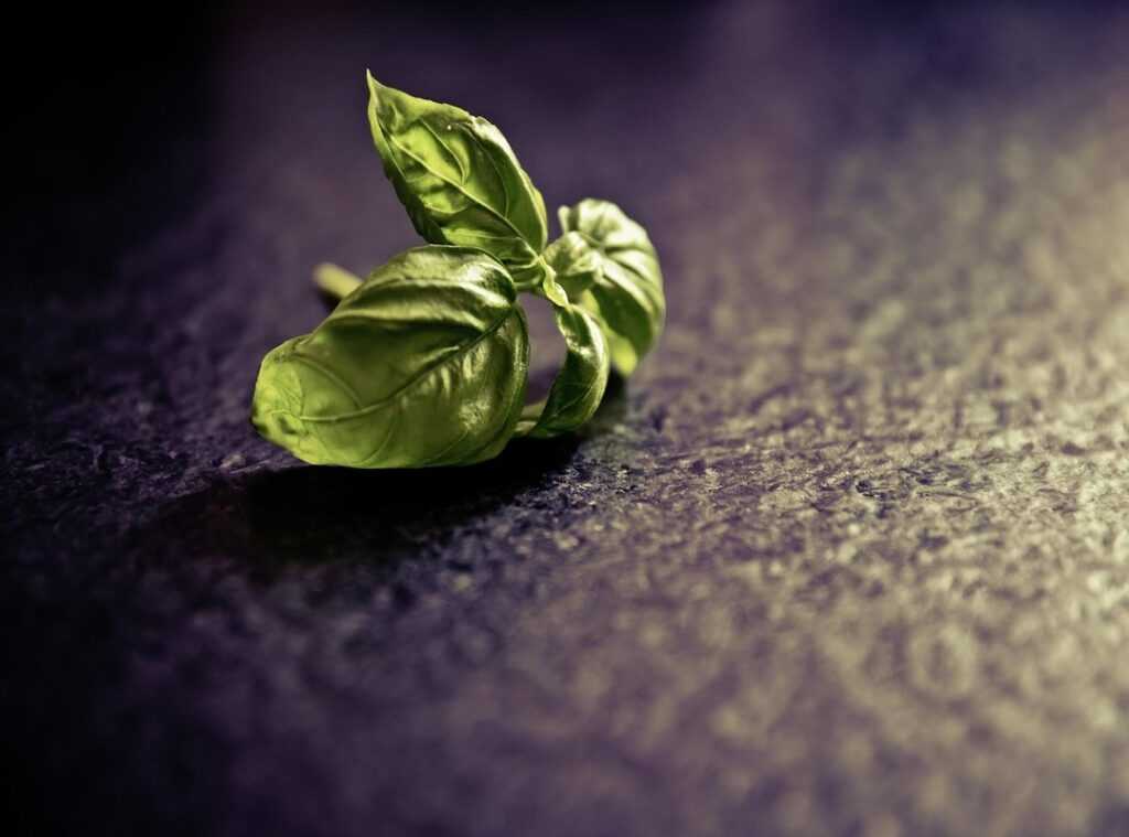 mediterranean flavors journey